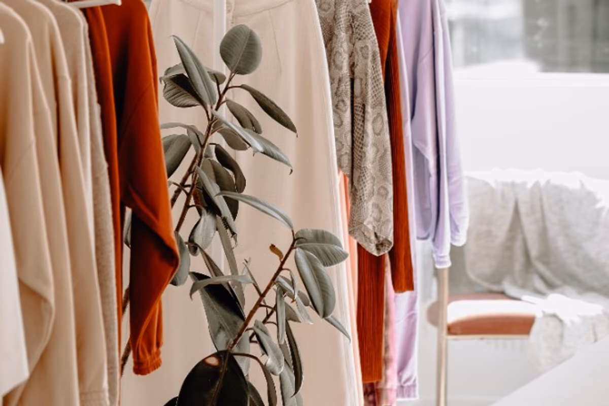 Vernichtungsverbot ab 19. Juli 2026: Was große Unternehmen im Online-Handel beachten müssen